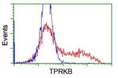 Flow Cytometry: TPRKB Antibody (OTI3H3) [NBP2-03885]