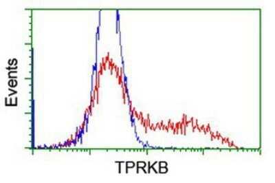 Flow Cytometry: TPRKB Antibody (OTI3H3) - Azide and BSA Free [NBP2-74574]