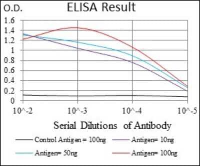 ELISA: TRACP/PAP/ACP5 Antibody (7E6A11) - BSA Free [NBP2-37337]