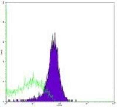 Flow Cytometry: TRAIL/TNFSF10 Antibody (RIK-2) - Azide and BSA Free [NBP2-80990]