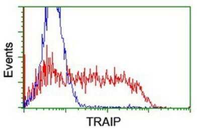 Flow Cytometry: TRAIP Antibody (OTI2D4) - Azide and BSA Free [NBP2-74580]