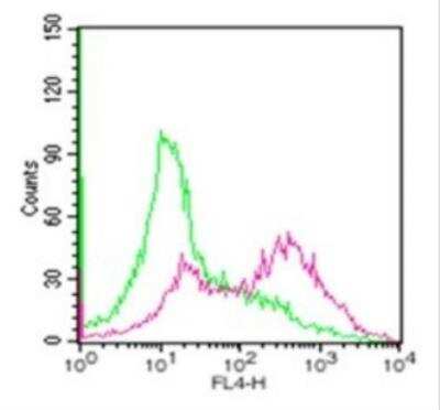 Flow Cytometry: TRANCE/TNFSF11/RANK L Antibody (12A380) - Azide and BSA Free [NBP2-27402]