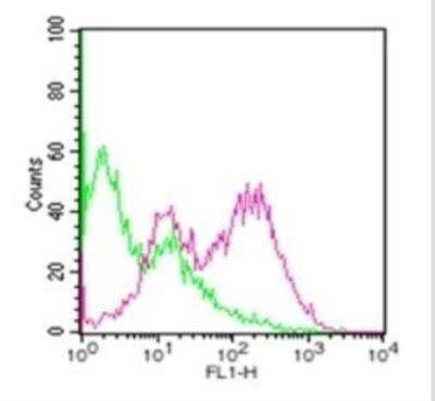 Flow Cytometry: TRANCE/TNFSF11/RANK L Antibody (12A380) - Azide and BSA Free [NBP2-27402]