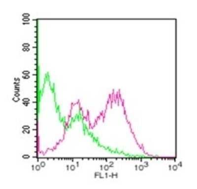Flow Cytometry: TRANCE/TNFSF11/RANK L Antibody (12A380) - BSA Free [NB100-56748]
