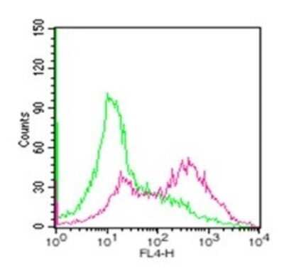 Flow Cytometry: TRANCE/TNFSF11/RANK L Antibody (12A380) - BSA Free [NB100-56748]