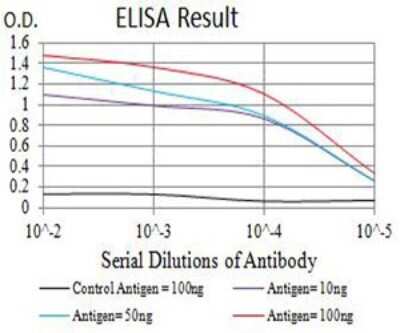 ELISA: TRANCE/TNFSF11/RANK L Antibody (8A7B9) - BSA Free [NBP2-61813]