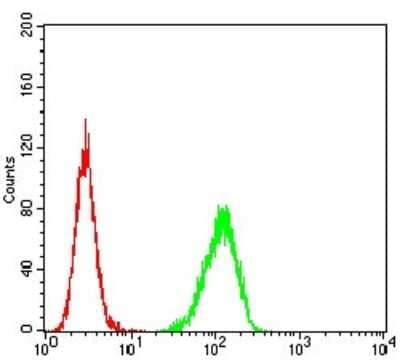 Flow Cytometry: TRANCE/TNFSF11/RANK L Antibody (8A7B9) - BSA Free [NBP2-61813]