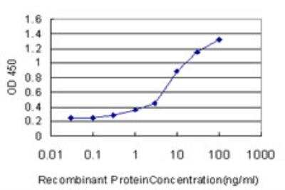ELISA: TRAP220/MED1 Antibody (2A2) [H00005469-M01]