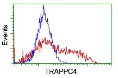 Flow Cytometry: TRAPPC4 Antibody (OTI2G8) [NBP2-46204]