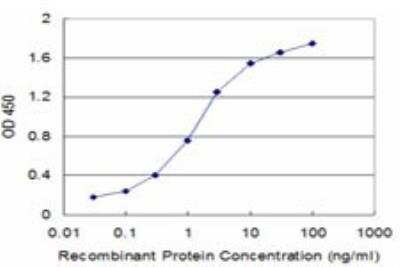 ELISA: TRBP Antibody (1D9) [H00006895-M03]