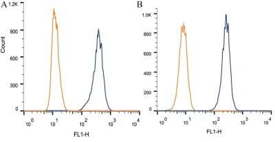 Flow Cytometry: TRF-1 Antibody (57-6) [NB110-68281]