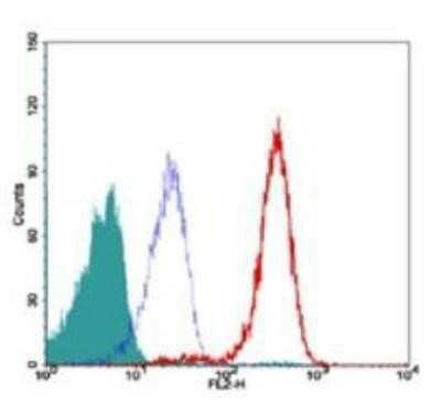 Flow Cytometry: TRF-2 Antibody (4A794.15) - Azide Free [NBP2-33212]