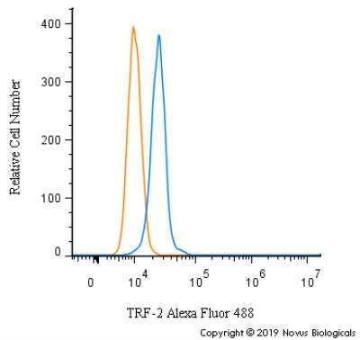 Flow Cytometry: TRF-2 Antibody - BSA Free [NB110-57130]