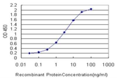 ELISA: TRIB2 Antibody (1B1) [H00028951-M04]
