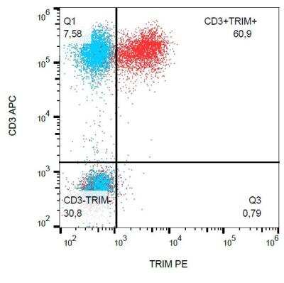 Flow Cytometry: TRIM Antibody (TRIM-04) - BSA Free [NB500-485]