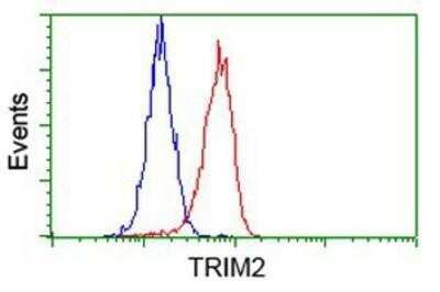 Flow Cytometry: TRIM2 Antibody (OTI2B10) - Azide and BSA Free [NBP2-74606]