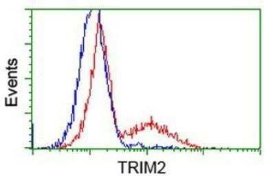 Flow Cytometry: TRIM2 Antibody (OTI2B10) - Azide and BSA Free [NBP2-74606]