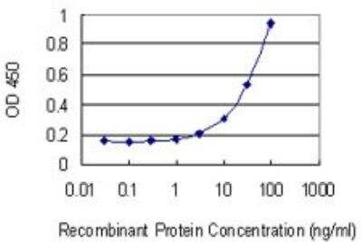 ELISA: TRIM21/SSA1 Antibody (2C9) [H00006737-M01]