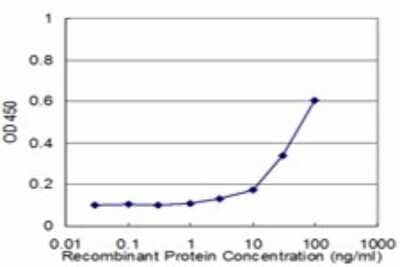ELISA: TRIM23 Antibody (2H4) [H00000373-M01]