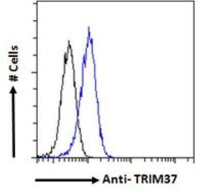 Flow Cytometry: TRIM37 Antibody [NBP2-80147]