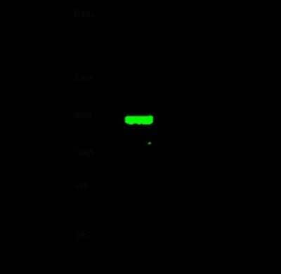 Western Blot: TRIM37 Antibody [NBP2-98831]