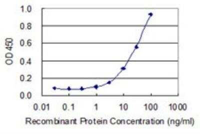 ELISA: TRIM46 Antibody (3G11) [H00080128-M05]
