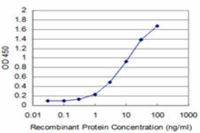 ELISA: TRIM49 Antibody (2A3) [H00057093-M04]