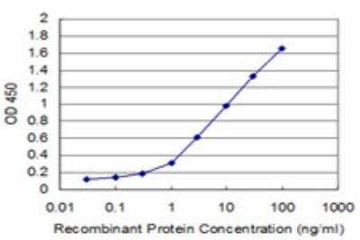 ELISA: TRIM49 Antibody (3C7) [H00057093-M05]