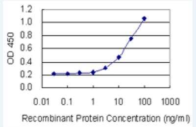 ELISA: TRIM62 Antibody (4A4) [H00055223-M05-100ug]