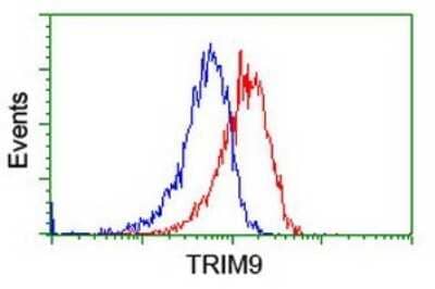 Flow Cytometry: TRIM9 Antibody (OTI2A1) [NBP2-46233]
