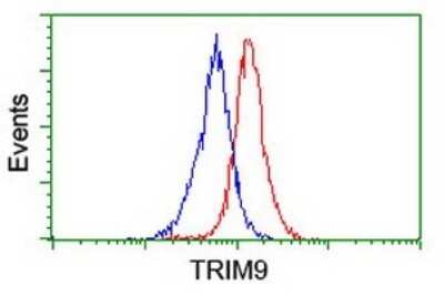 Flow Cytometry: TRIM9 Antibody (OTI2A1) [NBP2-46233]