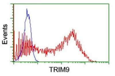 Flow Cytometry: TRIM9 Antibody (OTI2A1) [NBP2-46233]