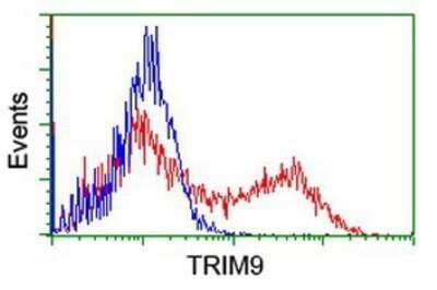 Flow Cytometry: TRIM9 Antibody (OTI2D6) - Azide and BSA Free [NBP2-74616]