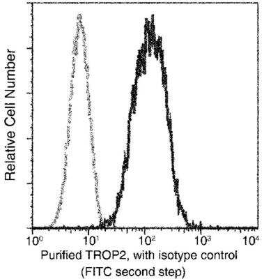 Flow Cytometry: TROP-2 Antibody (001) [NBP2-89492]