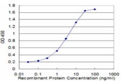 ELISA: TROVE2 Antibody (2E10) [H00006738-M04]