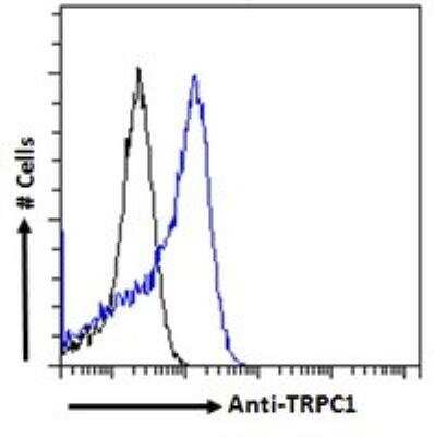 Flow Cytometry: TRPC1 Antibody [NBP2-62000]
