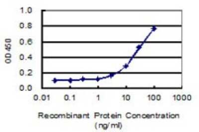 ELISA: TRPA1 Antibody (6G8) [H00008989-M03]