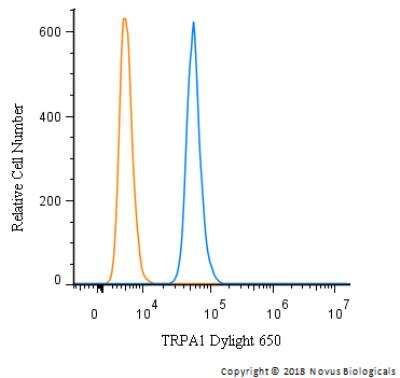 Flow Cytometry: TRPA1 Antibody - BSA Free [NB110-40763]
