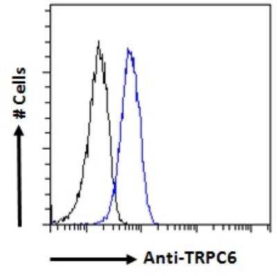 Flow Cytometry: TRPC6 Antibody [NB600-791]