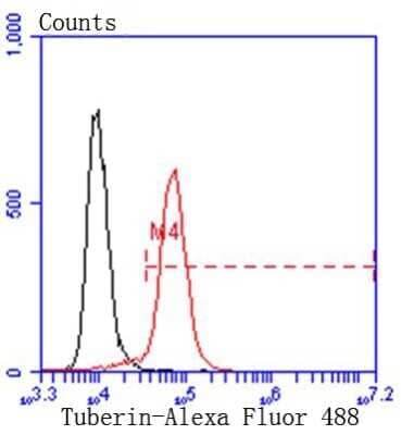 Flow Cytometry: TSC2 Antibody (SC05-59) [NBP2-67552]
