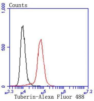 Flow Cytometry: TSC2 Antibody (SC05-59) [NBP2-67552]