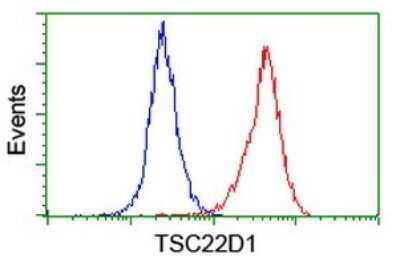 Flow Cytometry: TSC22/TSC22D1 Antibody (OTI4H8) [NBP2-46238]