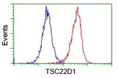 Flow Cytometry: TSC22/TSC22D1 Antibody (OTI4H8) [NBP2-46238]