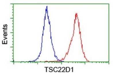 Flow Cytometry: TSC22/TSC22D1 Antibody (OTI4H8) - Azide and BSA Free [NBP2-74654]