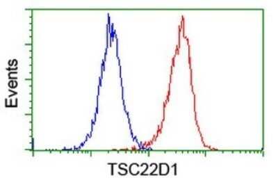 Flow Cytometry: TSC22/TSC22D1 Antibody (OTI4H8) - Azide and BSA Free [NBP2-74654]