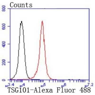 Flow Cytometry: TSG101 Antibody (JJ0900) [NBP2-67884]