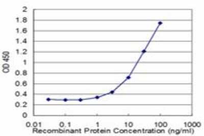 ELISA: TSPAN2 Antibody (1F2) [H00010100-M05]