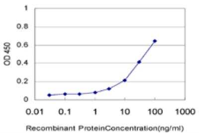 ELISA: TSSK2 Antibody (1F6) [H00023617-M03]