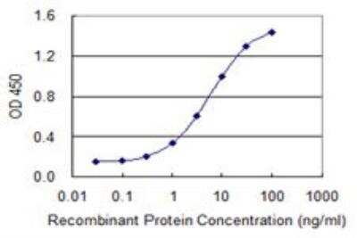 ELISA: TTC11 Antibody (3G6) [H00051024-M02]