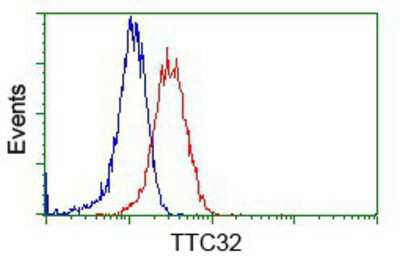Flow Cytometry: TTC32 Antibody (OTI1F7) [NBP2-02691]